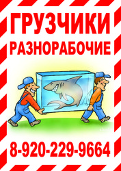 Грузчики,  разнорабочие.Переезды.Грузоперевозки.