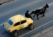 Свадебные машины,  прокат лимузинов,  свадебный кортеж,  аренда авто.